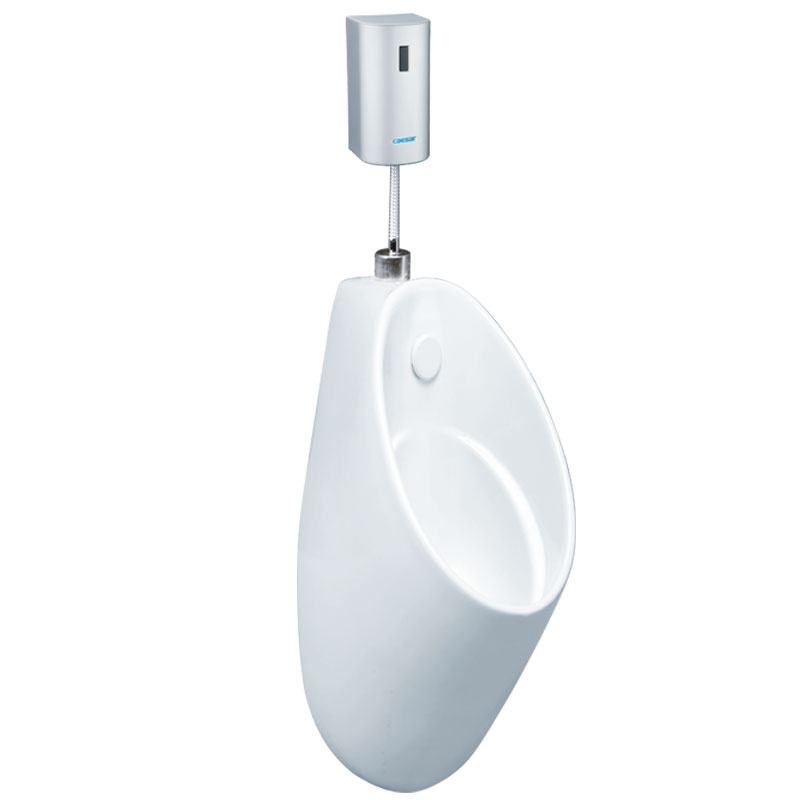 bon tieu nam caesar u0211 treo tuong