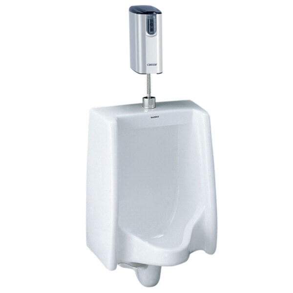 bon tieu nam caesar u0230 treo tuong