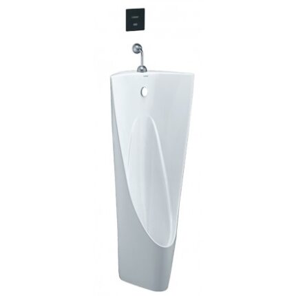 bon tieu nam caesar u0239 dat san