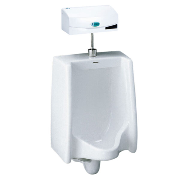 bon tieu nam caesar u0240 treo tuong