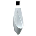 bon tieu nam caesar u0266 treo tuong