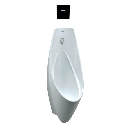 bon tieu nam caesar u0266 treo tuong