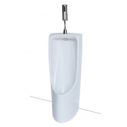 bon tieu nam toto ut508t dat san