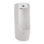 danh muc bon tieu nam viglacera