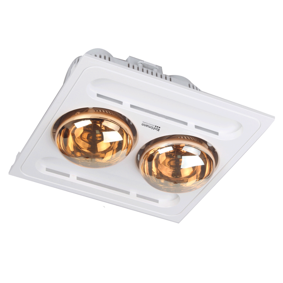 den suoi am tran kottmann k9 s am tran 2 bong