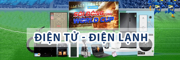 dientudienlanh cat11