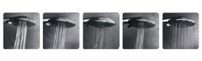 tay sen 5 che do cua voi sen cay viglacera vg595 nong lanh