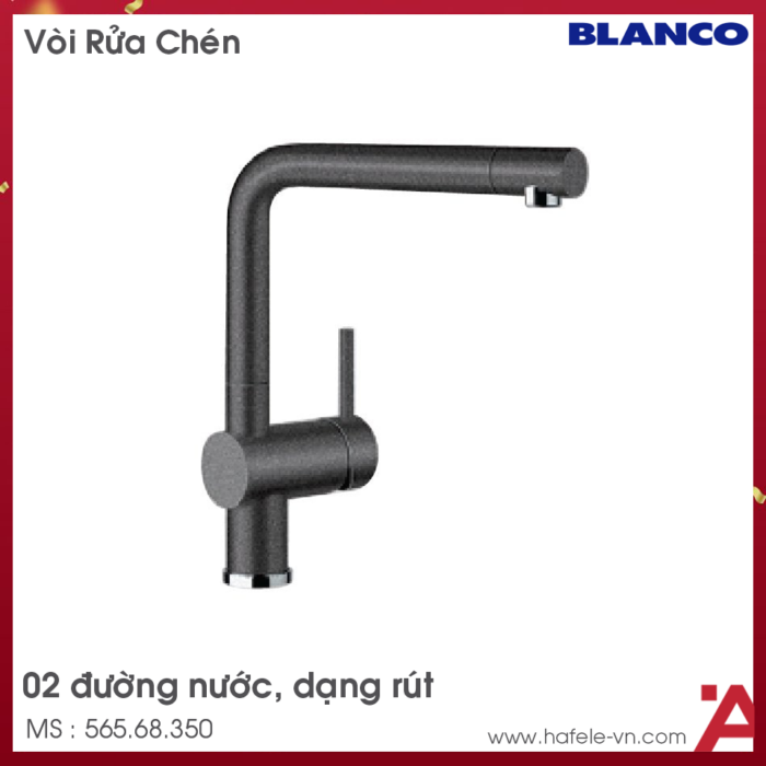 voi rua bat blancolinus s 56568350 mau den