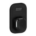 voi sen am tuong american standard wf t826b easyflo lanh