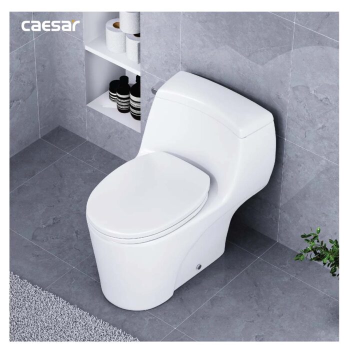 Bồn cầu 1 khối CAESAR C1353 nắp êm MU234 - Ảnh 6