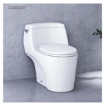 Bồn cầu 1 khối CAESAR C1353 nắp êm MU234 - Ảnh 5