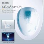 Bồn cầu 1 khối CAESAR C1394 (CD1394) nắp êm M233 - Ảnh 13