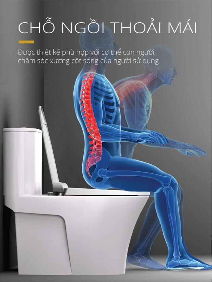 Bồn cầu 1 khối Caesar CD1395 4