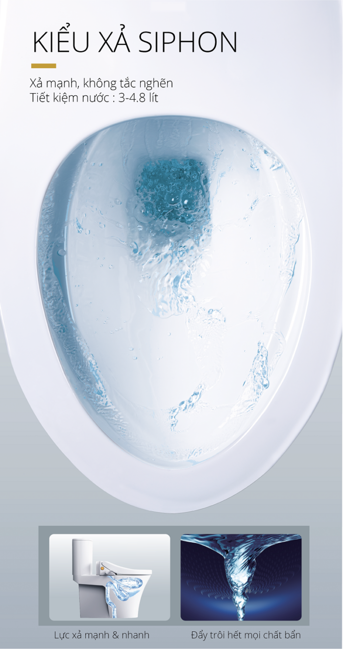 Bồn cầu 1 khối Caesar CD1395 nắp êm rửa cơ TAF050 2