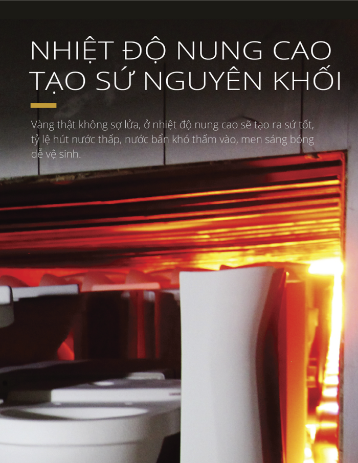 Bồn cầu 1 khối Caesar CD1395 nắp êm rửa cơ TAF050 5