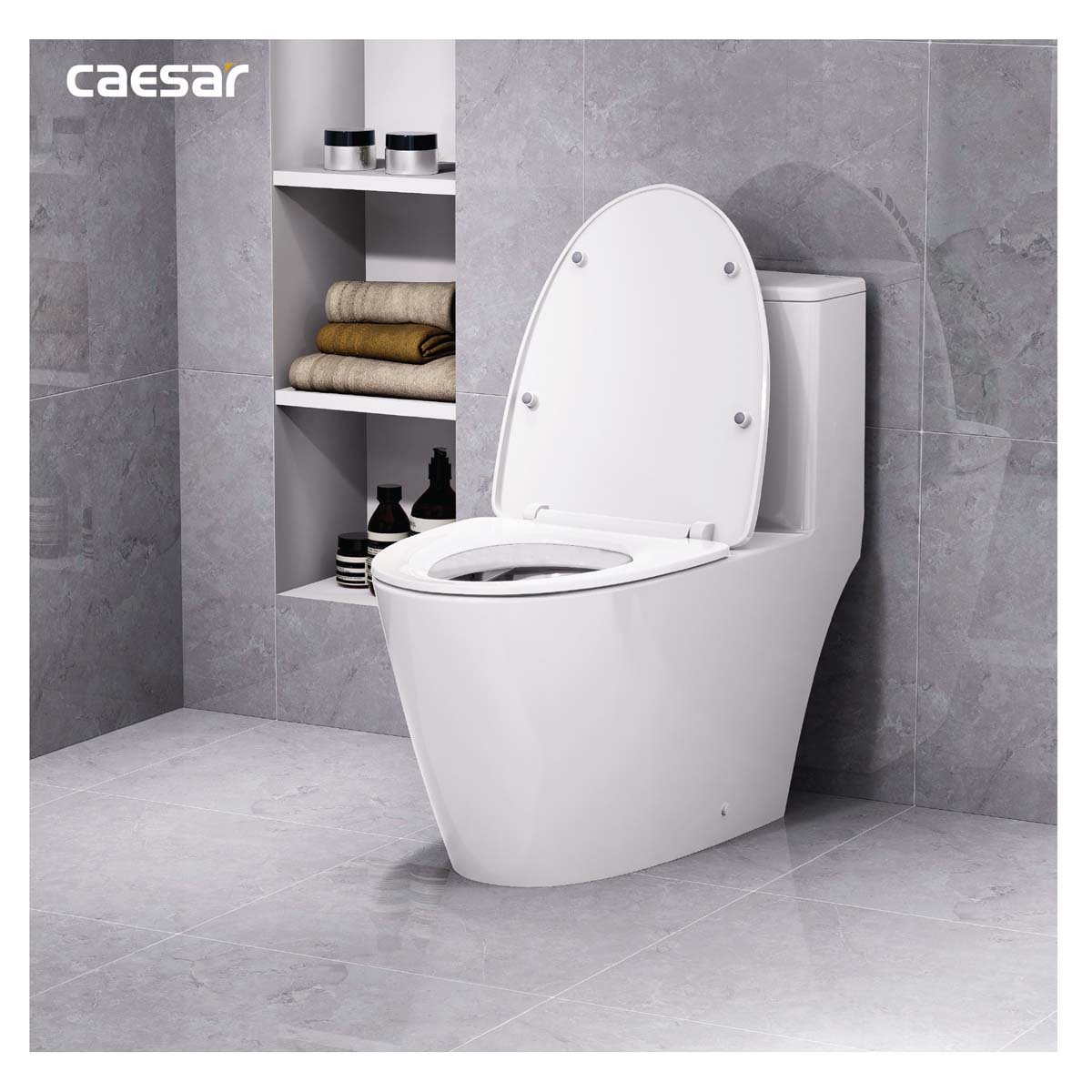 Hinh anh thuc te Bon cau 1 khoi CAESAR C1363 nap em MU263 2