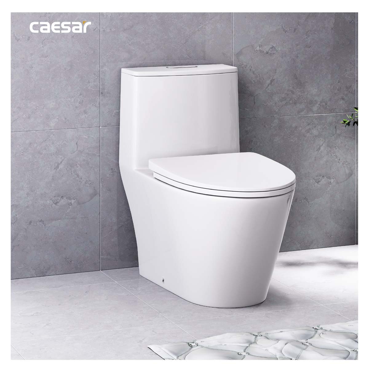 Hinh anh thuc te Bon cau 1 khoi CAESAR C1363 nap em MU263 3