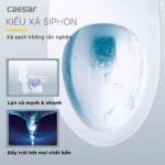 Bồn cầu 1 khối CAESAR C1352 trẻ em nắp êm M284 - Ảnh 11