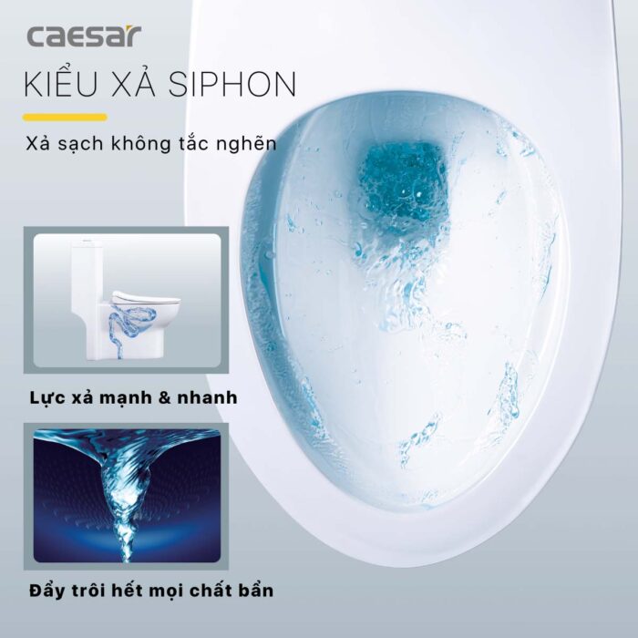 Bồn cầu 1 khối CAESAR C1352 trẻ em nắp êm M284 - Ảnh 11