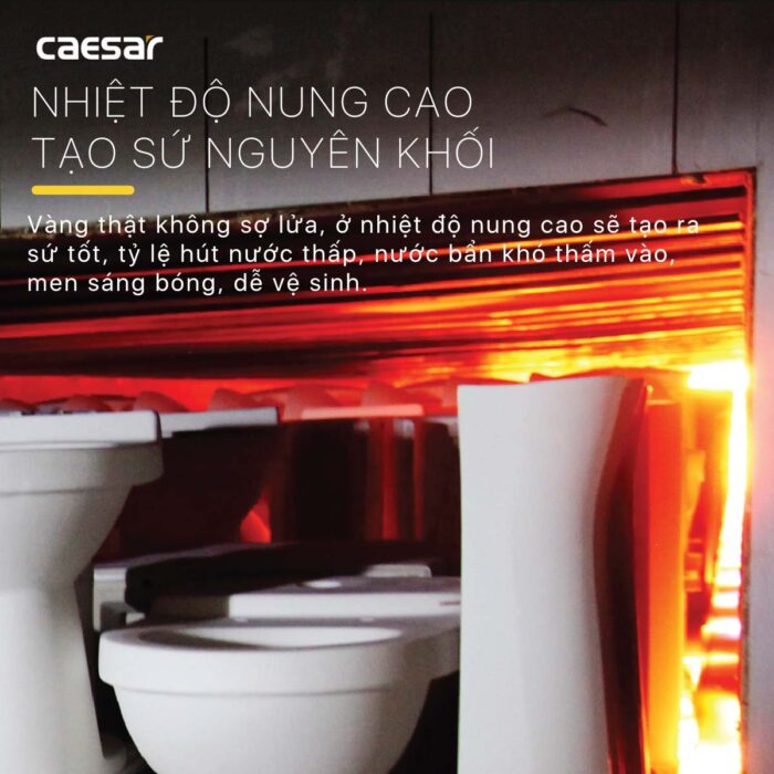 Bồn cầu 1 khối CAESAR C1352 trẻ em nắp êm M284 - Ảnh 8