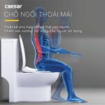 Bồn cầu 1 khối CAESAR C1352 trẻ em nắp êm M284 - Ảnh 6