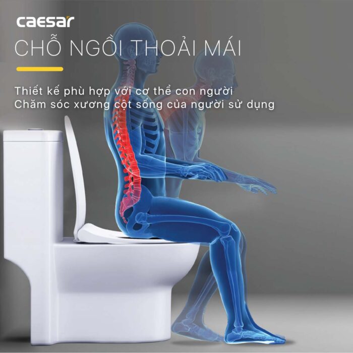 Bồn cầu 1 khối CAESAR C1352 trẻ em nắp êm M284 - Ảnh 6