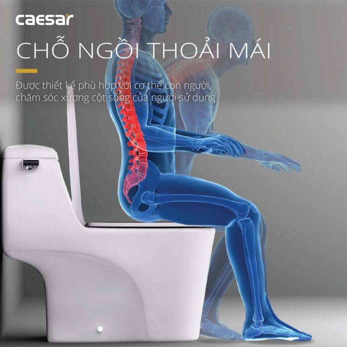Bồn cầu 1 khối CAESAR C1353 nắp êm MU234 - Ảnh 8