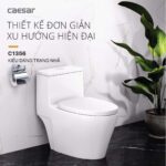 Bồn cầu 1 khối CAESAR C1356 nắp êm M256 - Ảnh 9