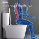 Bồn cầu 1 khối CAESAR C1364 nắp êm MU234 - Ảnh 8