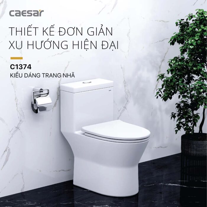 Bồn cầu 1 khối CAESAR C1374 nắp êm MU235 - Ảnh 12