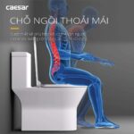 Bồn cầu 1 khối CAESAR C1374 nắp êm MU235 - Ảnh 13