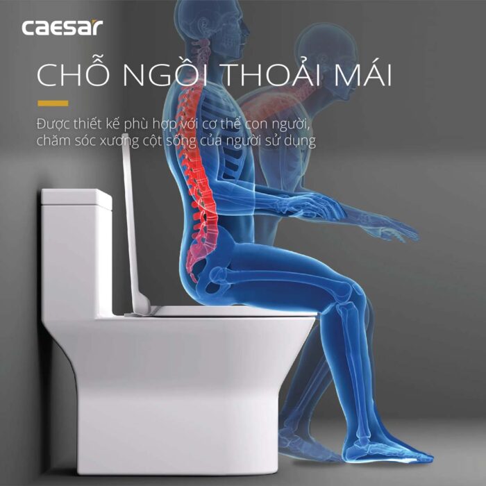 Bồn cầu 1 khối CAESAR C1374 nắp êm MU235 - Ảnh 13