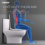 Bồn cầu 1 khối CAESAR C1375 nắp êm M221 - Ảnh 13