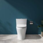 Bồn cầu 1 khối VIGLACERA HL2 nắp êm - Ảnh 3