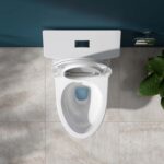 Bồn cầu 1 khối VIGLACERA HL2 nắp êm - Ảnh 5