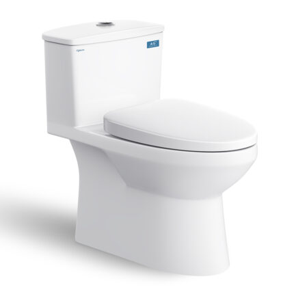 Bồn cầu 1 khối VIGLACERA V811 nắp êm