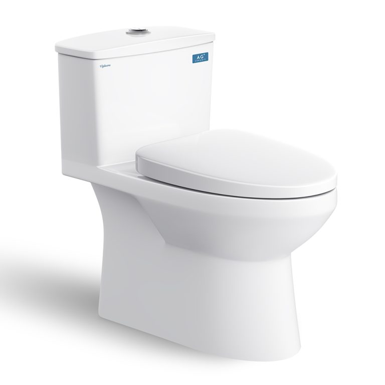 Bồn cầu 1 khối VIGLACERA V811 nắp êm