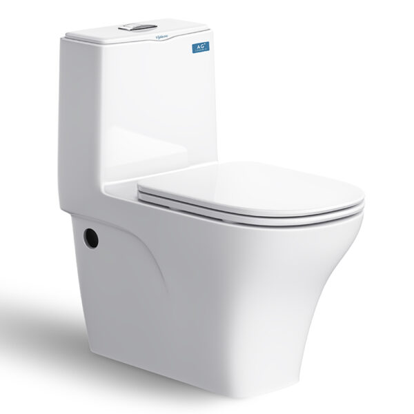 Bồn cầu 1 khối VIGLACERA V815 nắp êm