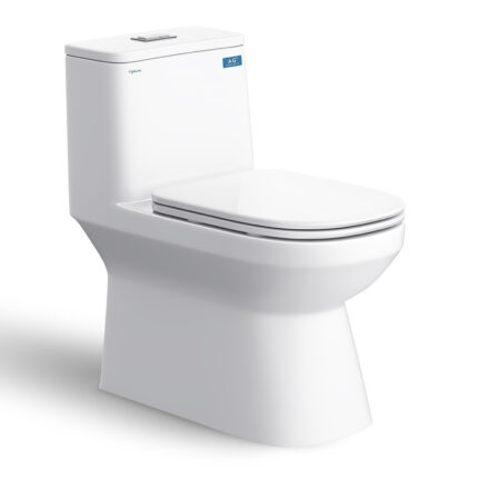 Bồn cầu 1 khối VIGLACERA V816 nắp êm