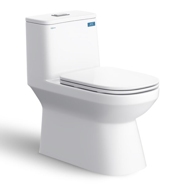 Bồn cầu 1 khối VIGLACERA V816 nắp êm