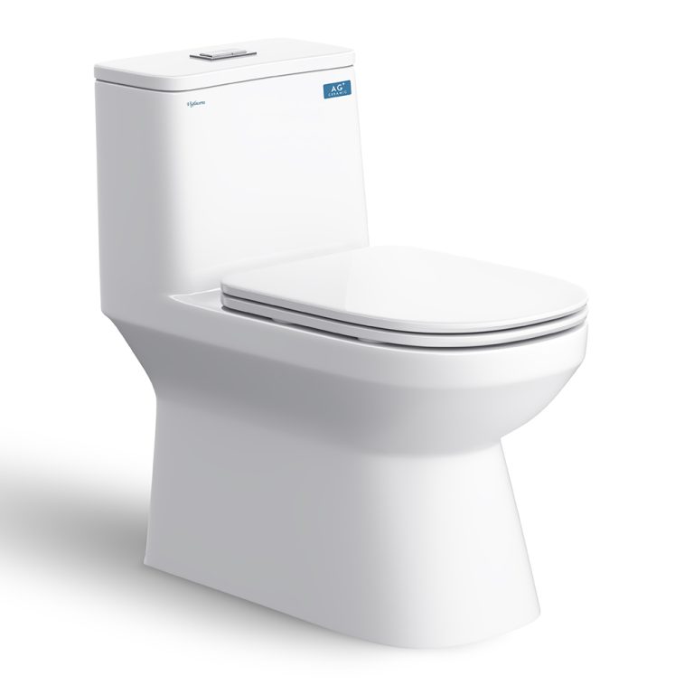 Bồn cầu 1 khối VIGLACERA V816 nắp êm