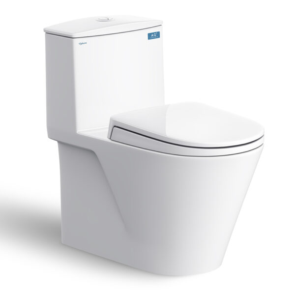 Bồn cầu 1 khối VIGLACERA V817 nắp êm