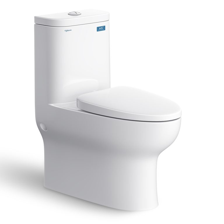 Bồn cầu 1 khối VIGLACERA V848 nắp êm