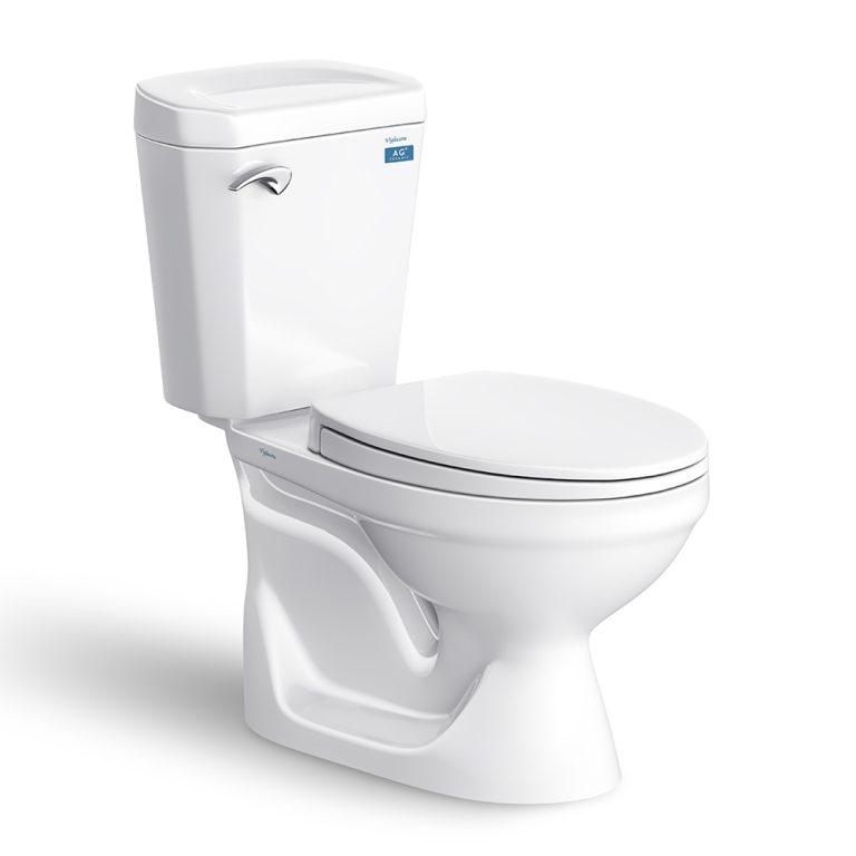 Bồn cầu 2 khối VIGLACERA VI77 nắp êm V116