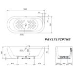 Bản vẽ kĩ thuật Bồn Tắm TOTO PAY1717CPTNE#W lập thể 1.7M
