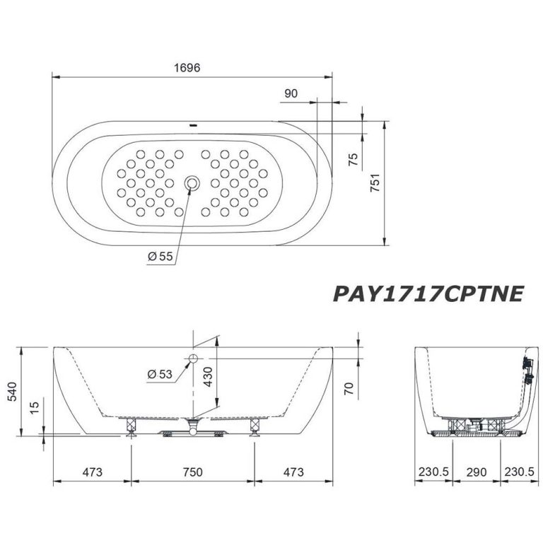 Bản vẽ kĩ thuật Bồn Tắm TOTO PAY1717CPTNE#W lập thể 1.7M