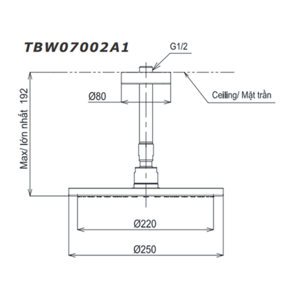 Bản vẽ kỹ thuật Bát sen âm tường TOTO TBW07002A1 gắn trần