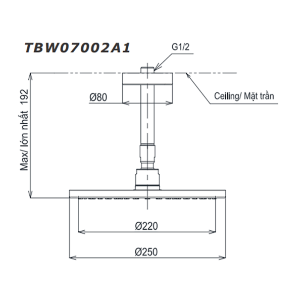 Bản vẽ kỹ thuật Bát sen âm tường TOTO TBW07002A1 gắn trần