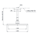 Bản vẽ kỹ thuật Bát sen âm tường TOTO TBW08002A1 gắn trần