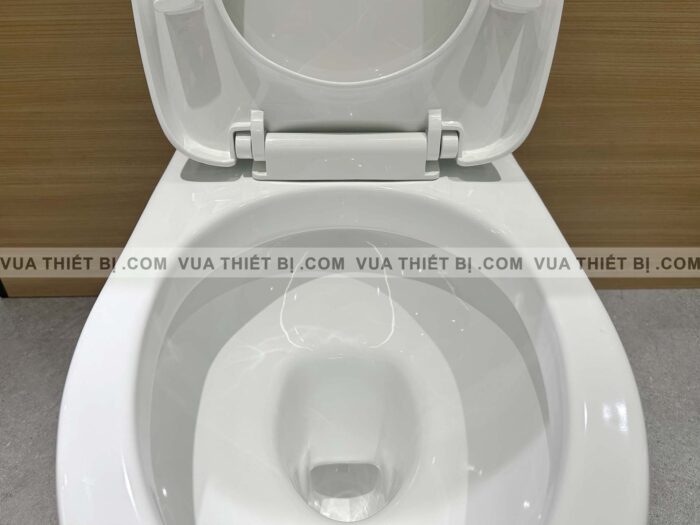 CS302DT10#W - Hình ảnh thực tế Bồn cầu 2 khối TOTO nắp êm - vuathietbi.com